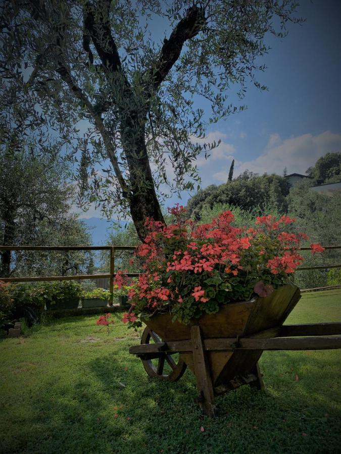 Appartamento Camelia Malcesine Bagian luar foto